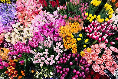 “人中之龙工作室”公开纪录片第二弹《战斗的轨迹》